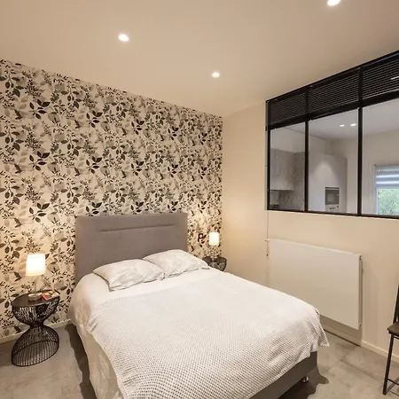 Appartement Dans La Andrea Aix-les-Bains
